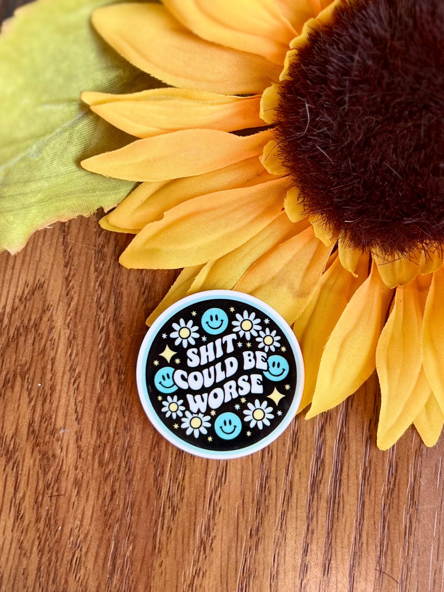 Sht Could Be Worse Magnet