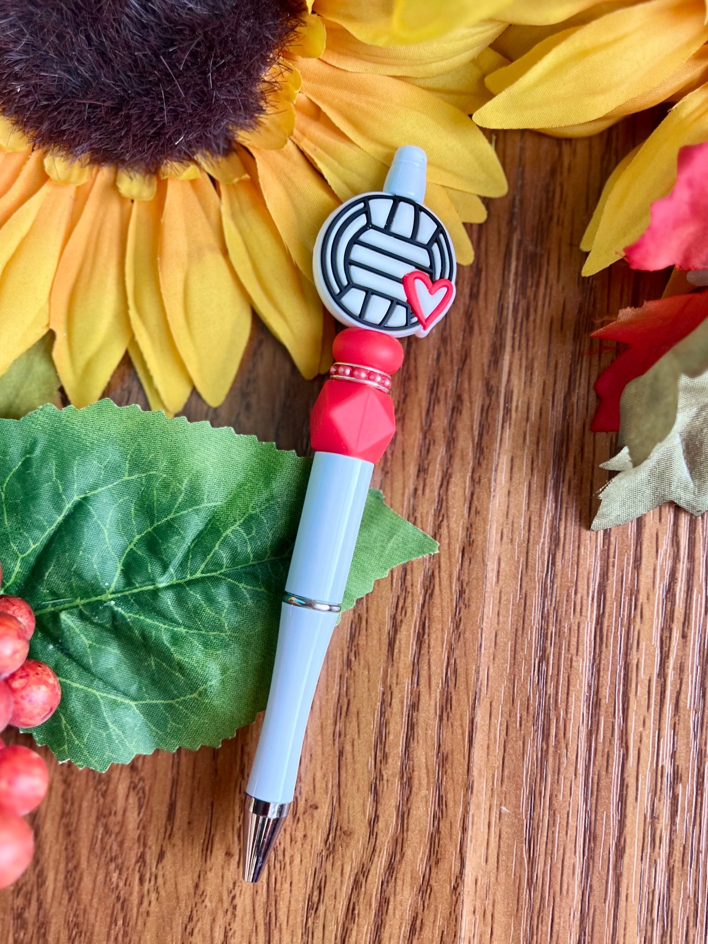 Volleyball Pen